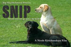 Nicole's Film