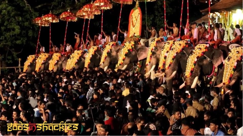 Gentle Giant Summit for Stakeholders in Kerala