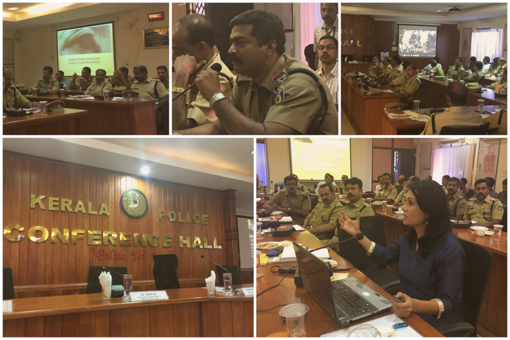 Gentle Giant Summit for Stakeholders in Kerala