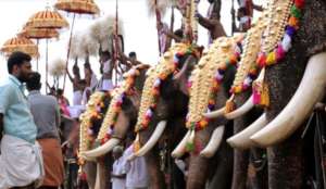 Gentle Giant Summit for Stakeholders in Kerala