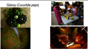 Uses of home garden products in Guatemala