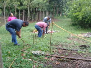 Measuring out the plot