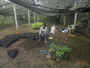 That's me in the tree nursery