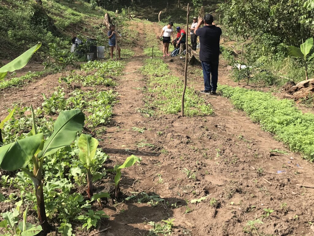 Home Gardens for 100 Families, Oaxaca, Mexico