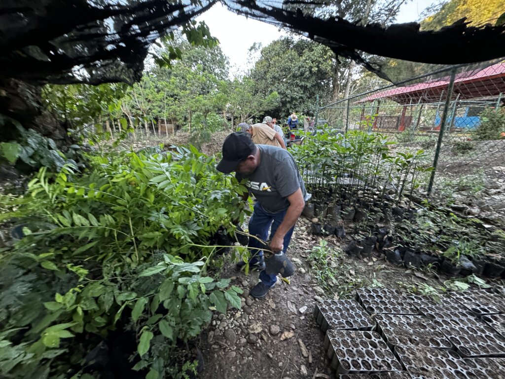 Home Gardens for 200 Families, Oaxaca, Mexico