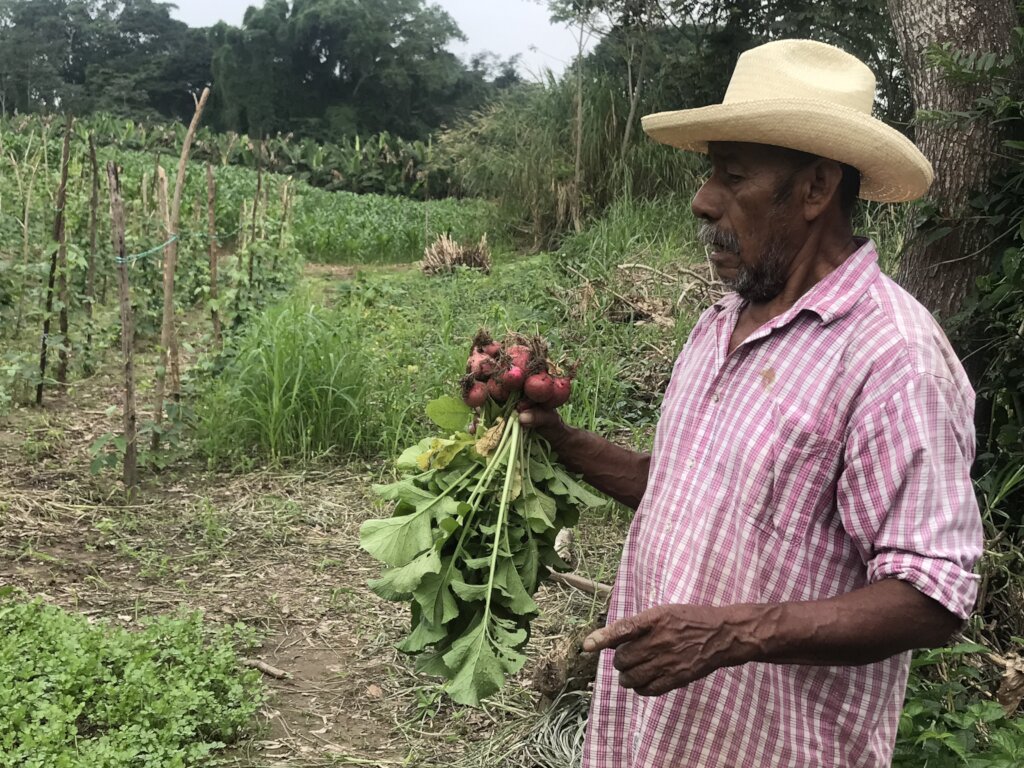 Home Gardens for 200 Families, Oaxaca, Mexico