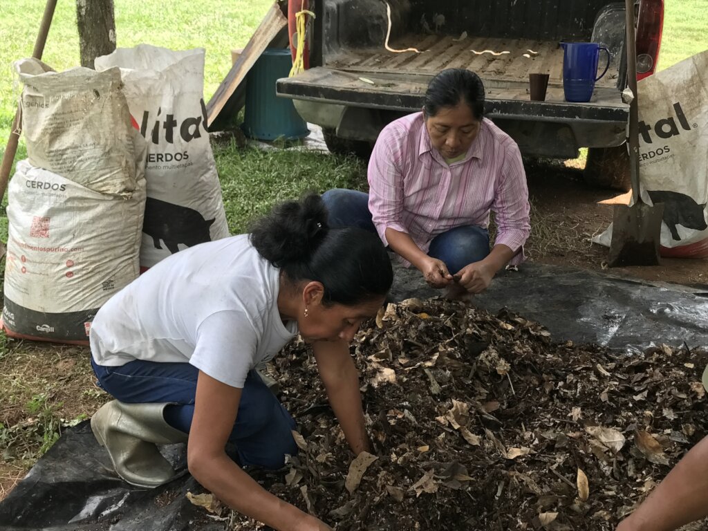 Home Gardens for 100 Families, Oaxaca, Mexico