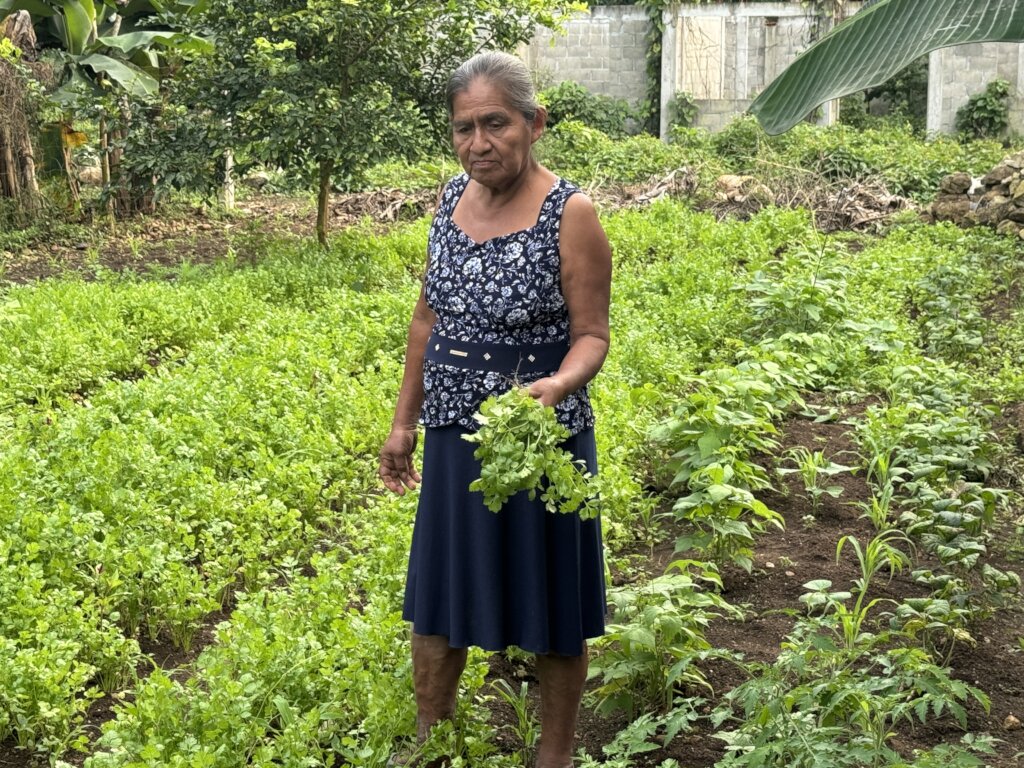 Home Gardens in Oaxaca