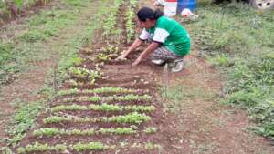 Home Gardens for 200 Families, Oaxaca, Mexico