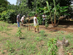 Selecting and establishing garden sites