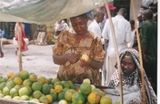 Help 10 Women to feed their children