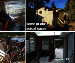 More current cases of our program