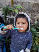 Toothbrushing can be fun at camp.