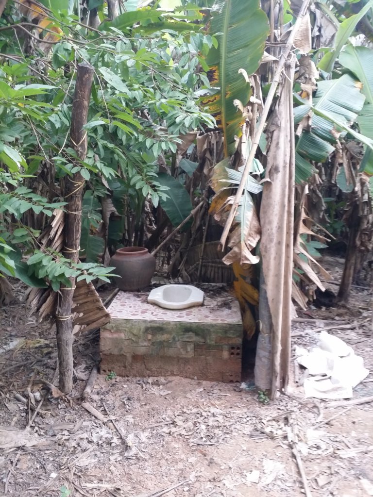 Toilet Outhouses Need Rebuilding