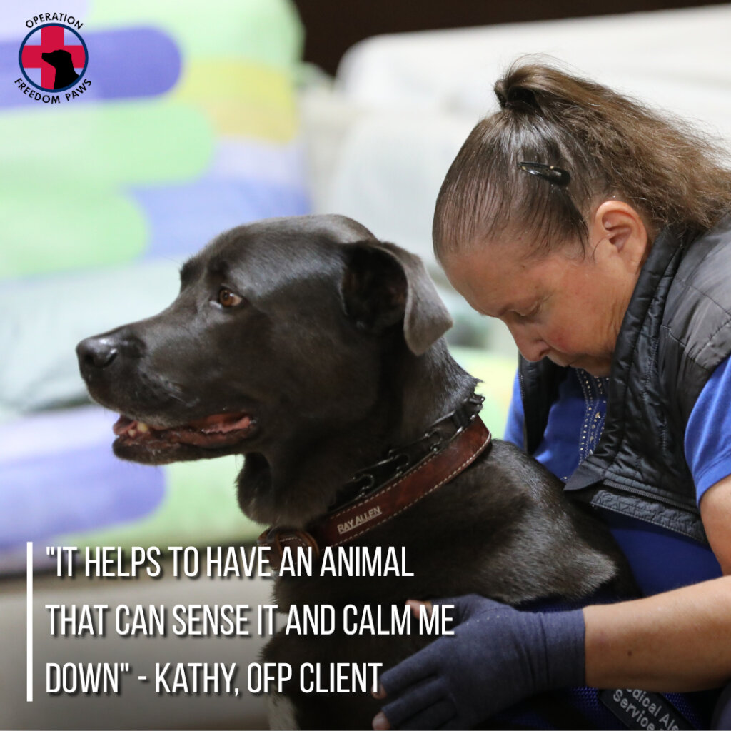 Save both Veterans and Rescued Dogs today!