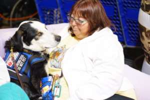 Veteran Service Dog Team: Shannon & Boomer