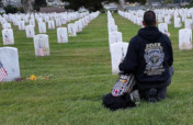 Save both Veterans and Rescued Dogs today!