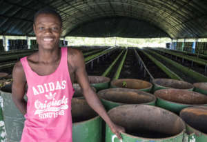 Training a local cooperative in Quibdo, Choco