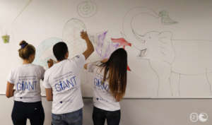 SROI and Impact Management Workshop - GIANT