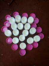 Soft Skilling program