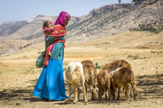 A gift for life: a sheep for a family in Eritrea