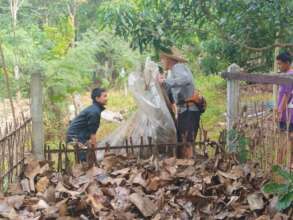 Collecting Leaves for mulch and compost