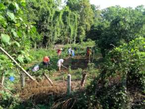 Weeding new garden plot