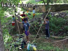 Building the trellis for the beans