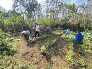 Clearing the Chili plants and beans