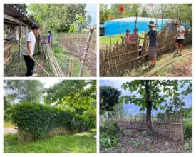 Building a Living Fence