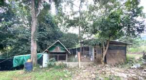 New chicken house with room to roam