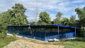 Rainwater filter and holding tanks in enclosure