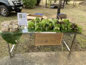 Natural Packaging for our fresh produce and eggs