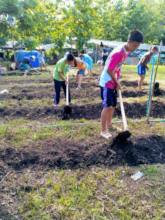 Preparing the soil with biochar fertilizer