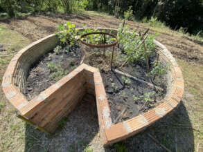 Keyhole garden sprouting