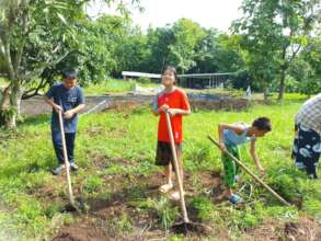 Planting peppers next to the new field