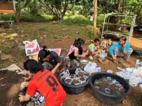 Planting seedlings
