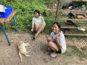 Taking a break from spring cleaning