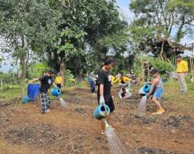 Planting and Watering the Seedlings