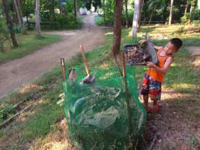 Collecting wild figs for Compost