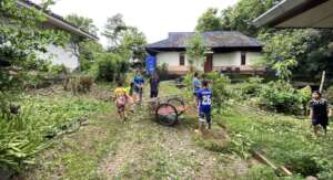 Clearing the flowers and bushes for repairs