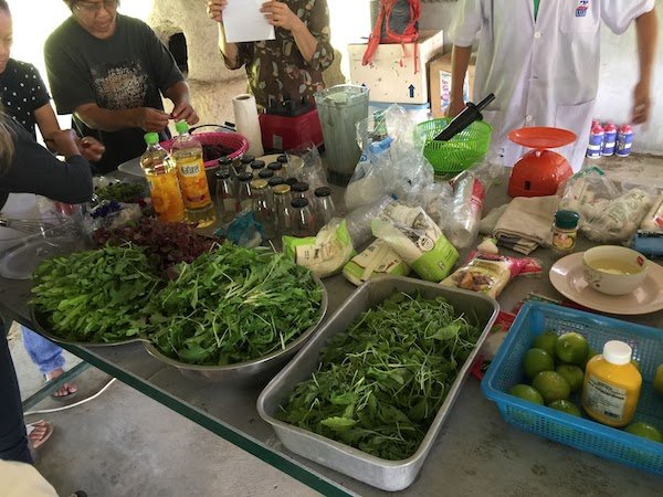 Help expand "Young Smart Farmers" organic gardens