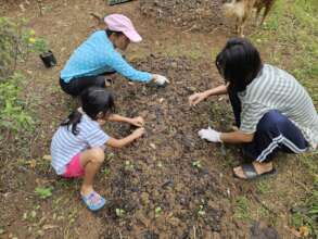 Learning to plant seedlings
