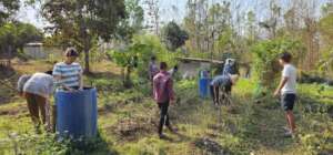 Working in the Garden