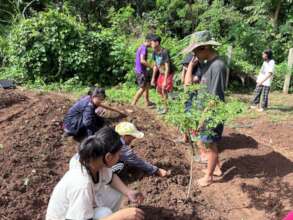 Prepping the  vegetable garden