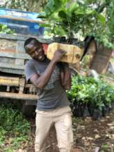Planting time for sustainability