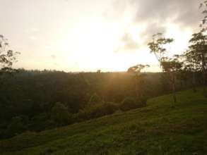 Narangamoola Village