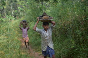 Everybody is helping to construct house