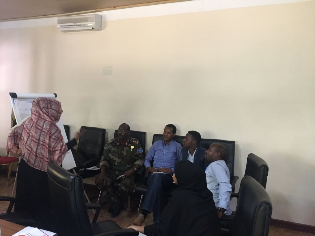 Hidden Figures: Supporting Somali Women for Peace