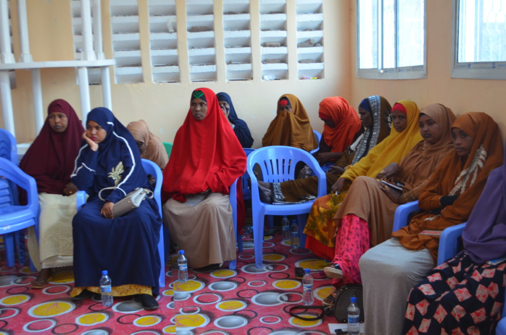 Hidden Figures: Supporting Somali Women for Peace